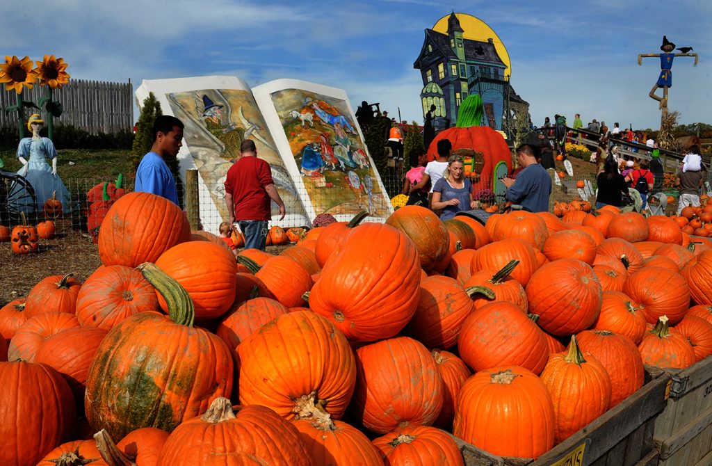 Experience the Magic of Connecticut Fall Festivals Piper and Dune