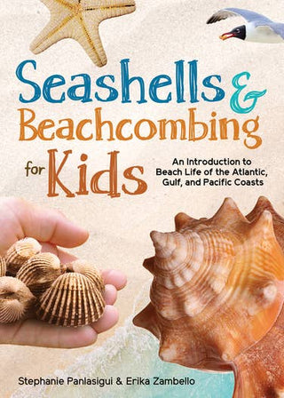 Seashells and Beachcombing for Kids AdventureKEEN