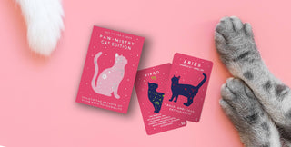 Paw-Mistry Cards: Cat Edition Gift Republic