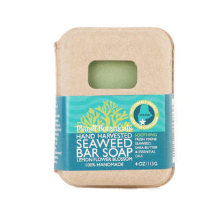 Seaweed Bar Soap Planet Botanicals