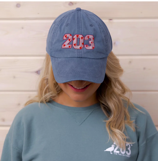 The 203 Baseball Caps | The Two Oh Three The Two Oh Three