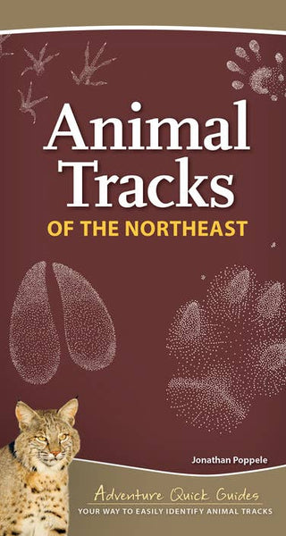 Animal Tracks of Northeast Quick Guide AdventureKEEN