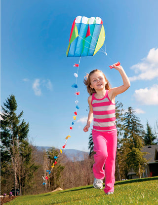 Get Outside GO!™ Parafoil Kite Toysmith