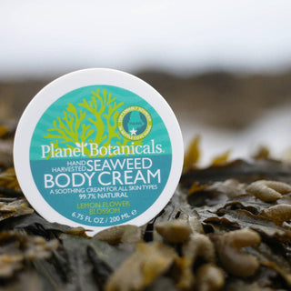 Seaweed Dream Cream Planet Botanicals