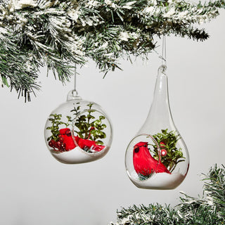 Cardinal Winter Scene Ornament Assorted Two's Company