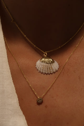 Gold Seashell Necklace - Coastal Beads by Rebecca Coastal Beads by Rebecca