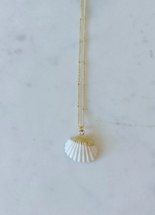 Gold Seashell Necklace - Coastal Beads by Rebecca Coastal Beads by Rebecca