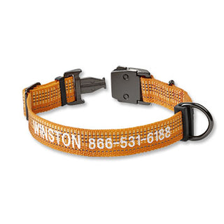 Tough Trail Dog Collar - 3 Colors | Orvis Orvis