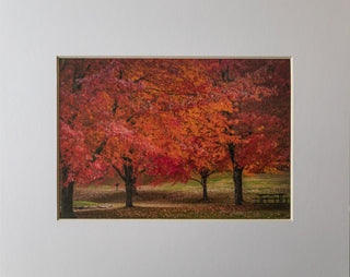 Fall Picnic Print - piper-and-dune - Home Goods