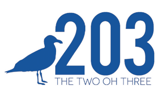The 203's Vinyl Seagull Decal Stickers - 3 Color Options The Two Oh Three