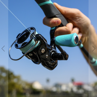 2500 | Carbon Spinning  Reel | Toadfish Toadfish Outfitters