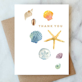 Shells Thank You Greeting Card Abigail Jayne Design
